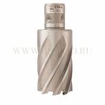 ������ ���������� HSS 31�35 �� Quick-IN Prima FEIN